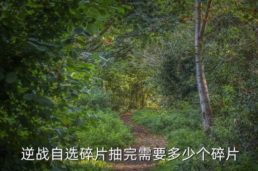  逆战自选碎片抽完需要多少个碎片