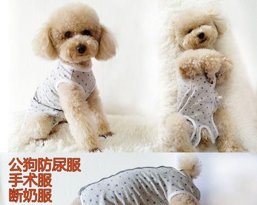 狗狗结扎，为宠物健康保驾护航（解析狗狗结扎的好处与必要性，让你更了解你的宠物）