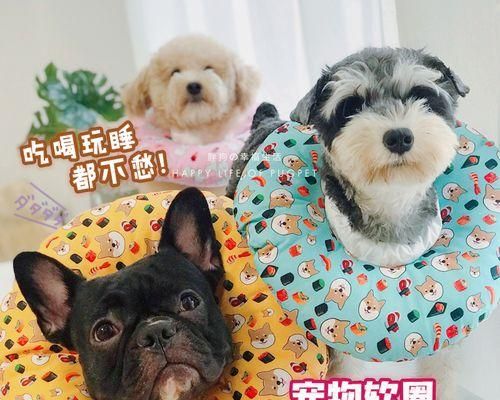 狗狗结扎，为宠物健康保驾护航（解析狗狗结扎的好处与必要性，让你更了解你的宠物）