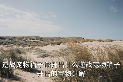 逆战宠物箱子能开出什么逆战宠物箱子开出的宝物讲解
