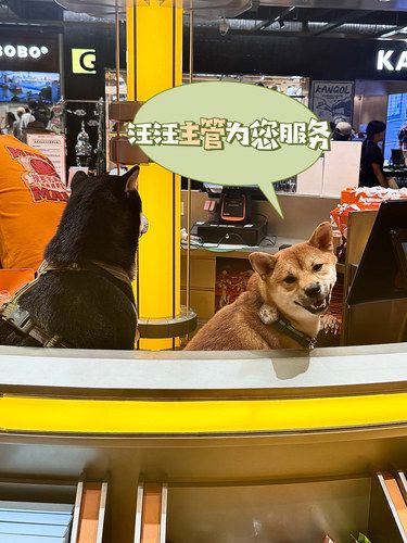 这家店的小狗售货员们也太敬业啦[爱心]