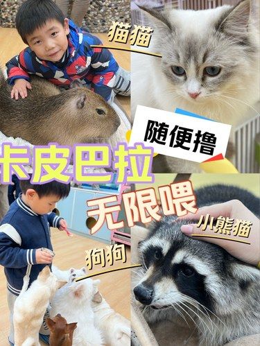 北野的网红们都在这了！不用排队随便撸！！
