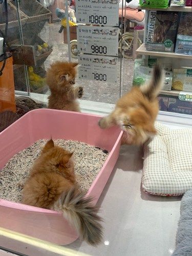 在珠海这个店超city！