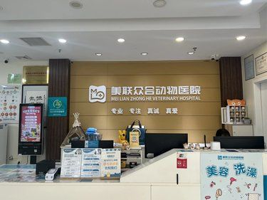 终于找到了放心的宠物医院 