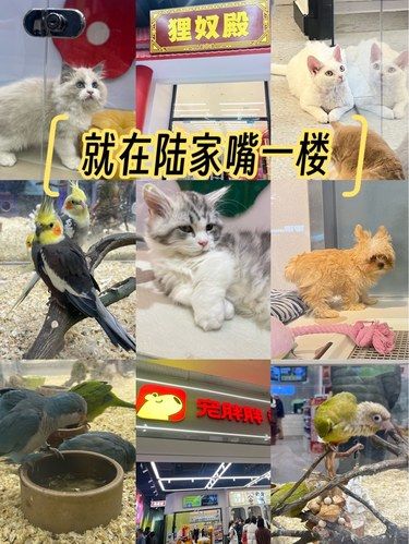 萌萌的小毛孩们[色]