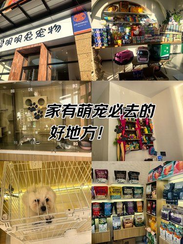家有萌宠必去的好地方！