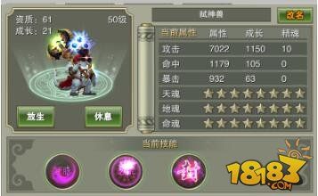灵域戮仙宠物系统玩法详细解读