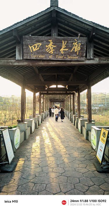 猫岛