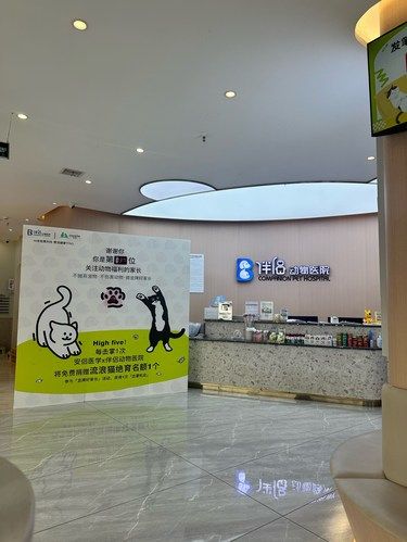 伴侣体检
