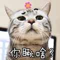 https://img.meituan.net/relationwxpic/513260906974bb5d010e99057edb518b8646.jpg%40120w_120h_1e_1c_1l%7Cwatermark%3D0