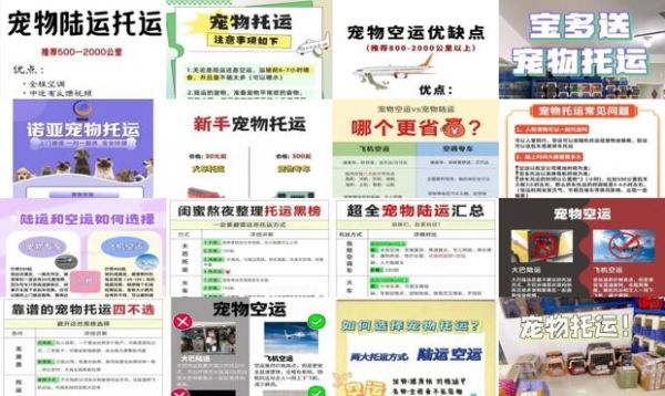 宠物空运和陆运哪个危险