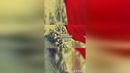 这句话只有中国人能听懂，此生不悔入华夏，来世还做中国人