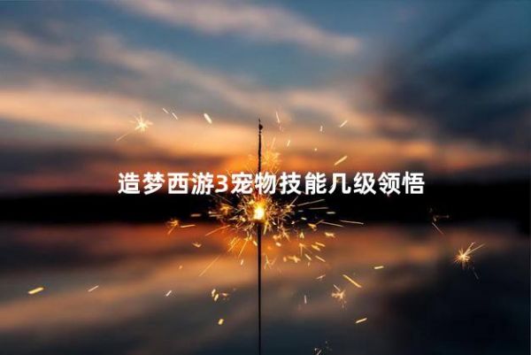 造梦西游3宠物技能几级领悟