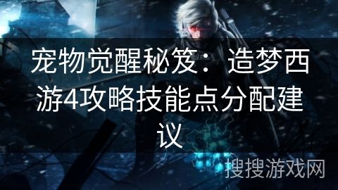 宠物觉醒秘笈：造梦西游4攻略技能点分配建议