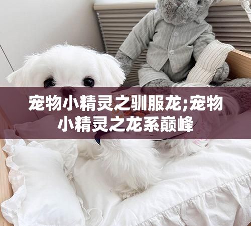 宠物小精灵之驯服龙;宠物小精灵之龙系巅峰