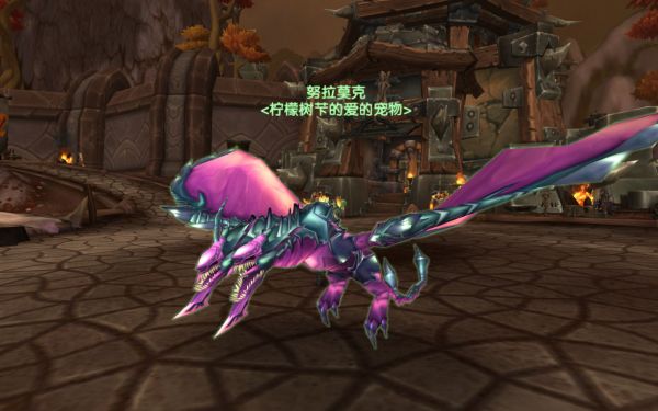 魔兽世界TBC：猎人宠物挑选指南，引怪是其次，这个误区不能犯