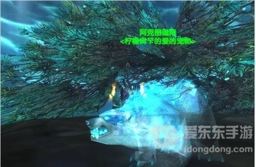 魔兽世界怀旧服tbc猎人稀有宠物有哪些 猎人稀有宠物大全