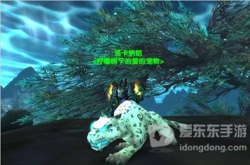 魔兽世界怀旧服tbc猎人稀有宠物有哪些 猎人稀有宠物大全