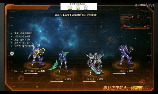 怀旧服开宠物弓，探索魔兽世界经典元素