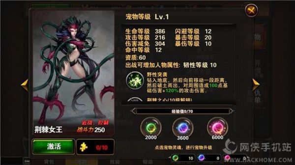圣骑士之歌弓箭手选择哪个宠物好 弓箭手宠物搭配推荐图片4