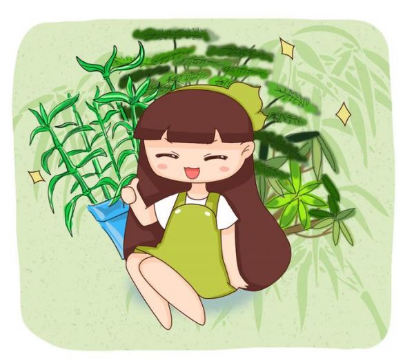 竹子太大不能养，这几种小型竹，人人家里要有一盆！