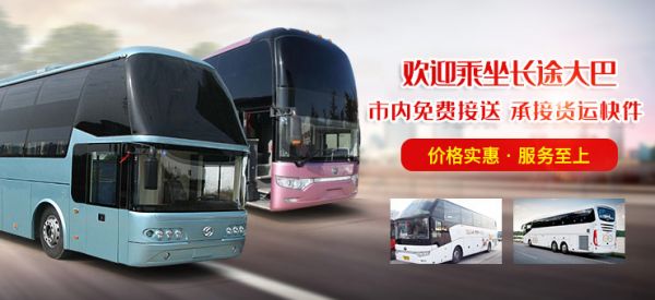 郑州到大巴车-精心呵护托运宠物