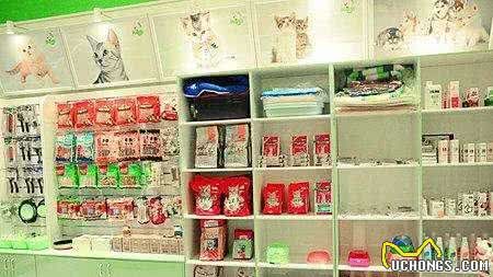 宠物店工作工资怎么样？