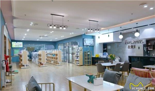 宠物店工作工资怎么样？