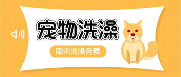宠物洗澡宠物店卡通公众号封面首图