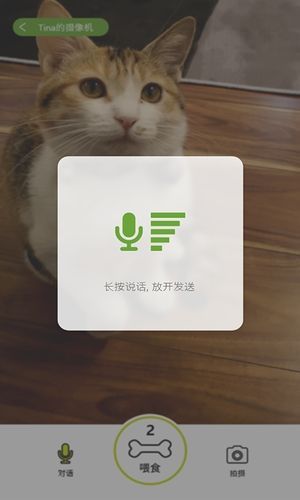 蹭蹭宠物