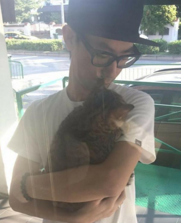 男子带猫咪去宠物医院打针，结果刚到门口，猫咪的脸色秒变