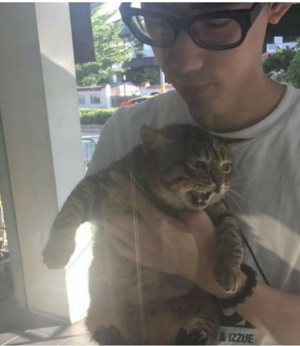 男子带猫咪去宠物医院打针，结果刚到门口，猫咪的脸色秒变