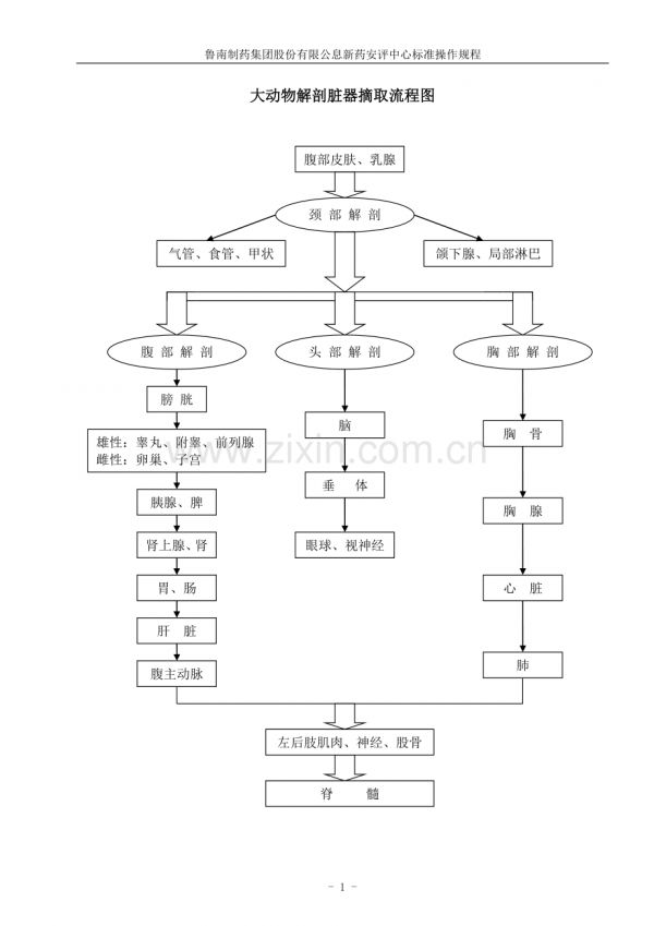 动物解剖脏器摘取流程图.doc_第1页