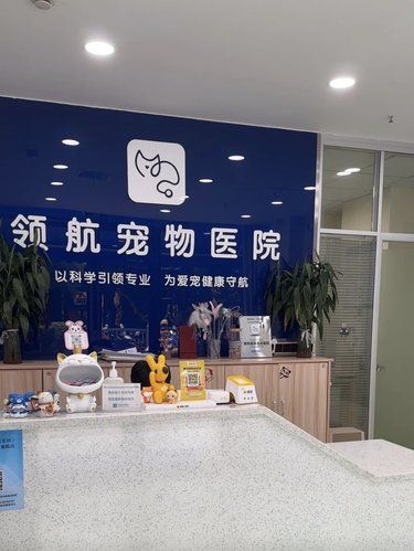 给了我们家宝贝第二次生命[流泪]
