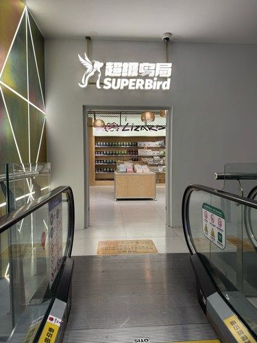 上海五角场新开！9.9元亲子畅玩鹦鹉互动