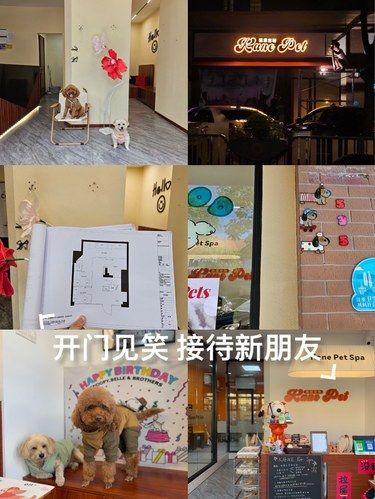 一整个大爆改