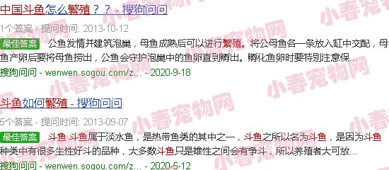 中国斗鱼繁殖技巧