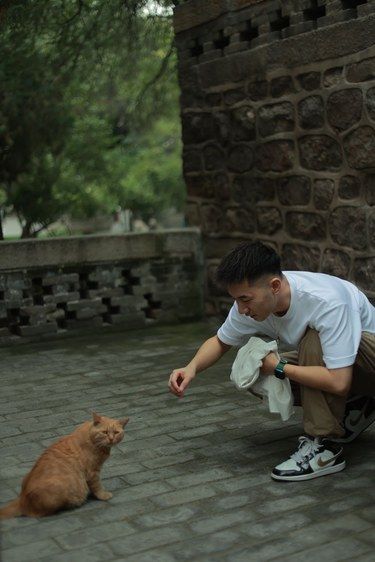选猫还是选我
