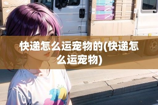 快递怎么运宠物的(快递怎么运宠物)