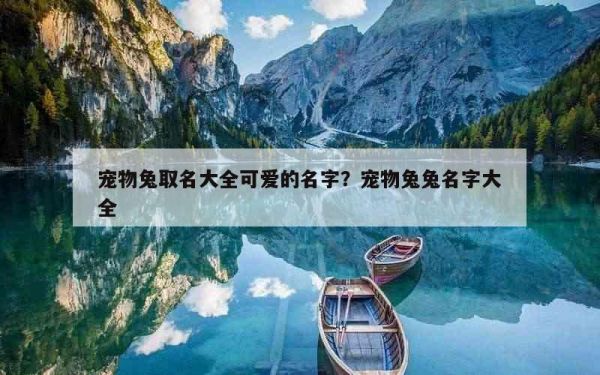 宠物兔取名大全可爱的名字？宠物兔兔名字大全