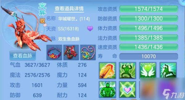 《神武》游戏85级带什么宠物好（探讨适合85级玩家的宠物选择策略）