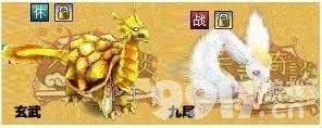 天书奇谈宠物岛宠物分别是什么 天书奇谈宠物岛宠物抓取方法