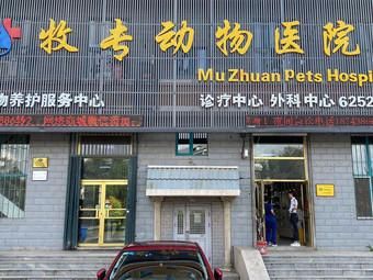大庆新村哪个宠物医院好,大庆市宠物店有几家