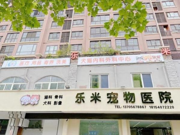 大庆新村哪个宠物医院好,大庆市宠物店有几家