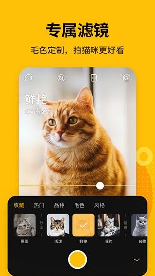 爪叽app下载