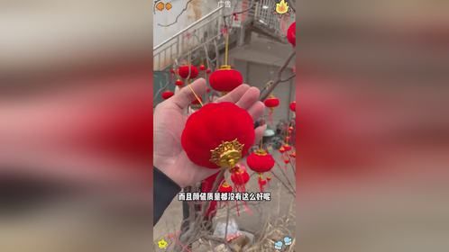 马上快到过年了，红红的灯笼挂起来