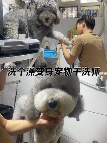 大活