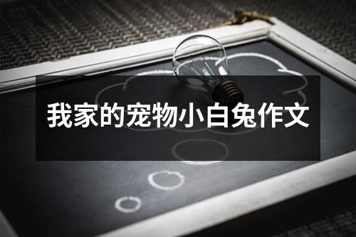 我家的宠物小白兔作文