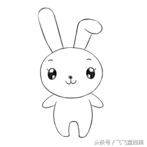 兔子简笔画手绘卡通可爱的小白兔