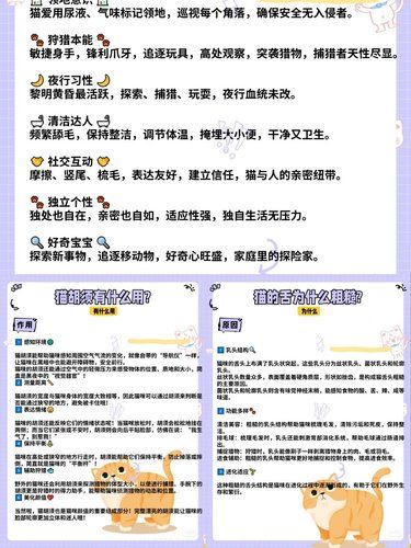 揭秘猫咪的九大天然习性